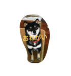 Scoco（個別スタンプ：4）