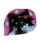 Scoco（個別スタンプ：5）