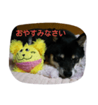 Scoco（個別スタンプ：8）