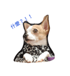 niubou（個別スタンプ：1）