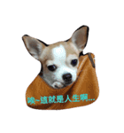 niubou（個別スタンプ：2）