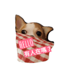 niubou（個別スタンプ：3）