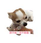 niubou（個別スタンプ：4）
