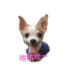 niubou（個別スタンプ：6）