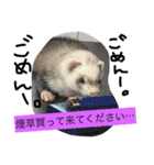 フェレットのチロルと犬のジョンソン（個別スタンプ：10）