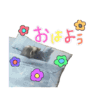フェレットのチロルと犬のジョンソン（個別スタンプ：35）