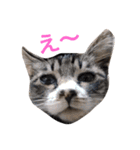 ミィニョン（個別スタンプ：2）