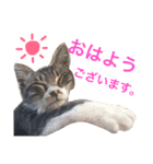 ミィニョン（個別スタンプ：7）
