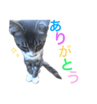 ミィニョン（個別スタンプ：9）