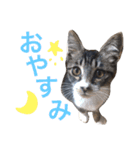 ミィニョン（個別スタンプ：16）