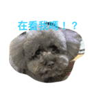 Baby's daily life 1（個別スタンプ：2）