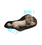 Baby's daily life 1（個別スタンプ：11）