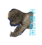 Baby's daily life 1（個別スタンプ：12）