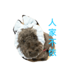 Baby's daily life 1（個別スタンプ：13）