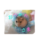 みるくとここあ（個別スタンプ：3）