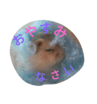 みるくとここあ（個別スタンプ：5）