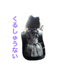 黒ポメちん（個別スタンプ：8）