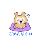 保護犬・保護猫を応援するスタンプです。（個別スタンプ：3）