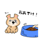 保護犬・保護猫を応援するスタンプです。（個別スタンプ：17）