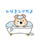 保護犬・保護猫を応援するスタンプです。（個別スタンプ：19）