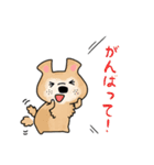 保護犬・保護猫を応援するスタンプです。（個別スタンプ：24）