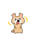 保護犬・保護猫を応援するスタンプです。（個別スタンプ：25）