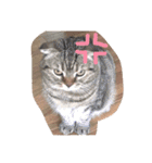 みゆこ（個別スタンプ：22）