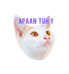 Luna face（個別スタンプ：3）