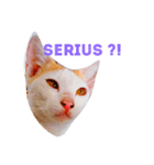 Luna face（個別スタンプ：14）
