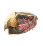 カメ辞めました（個別スタンプ：7）