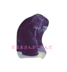 my cats  STAMP（個別スタンプ：6）