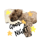 woodyくん♬（個別スタンプ：3）