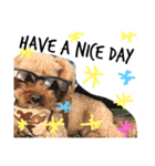 woodyくん♬（個別スタンプ：7）