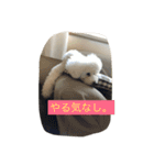 beenotorio（個別スタンプ：3）