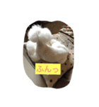 beenotorio（個別スタンプ：4）