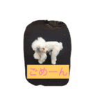 beenotorio（個別スタンプ：11）