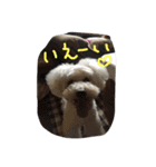 beenotorio（個別スタンプ：13）