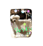 beenotorio（個別スタンプ：14）