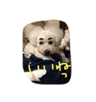 beenotorio（個別スタンプ：22）