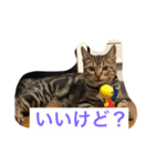 レオ様とおじいちゃん、ときどきあたち。（個別スタンプ：2）