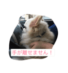 レオ様とおじいちゃん、ときどきあたち。（個別スタンプ：6）