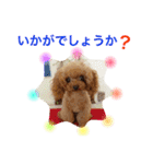 プードルの気持ちパート2（個別スタンプ：22）