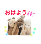 プードルの気持ちパート2（個別スタンプ：31）