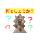 プードルの気持ちパート2（個別スタンプ：36）