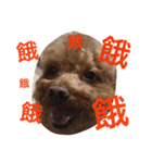 Puppy family -- Panda (1)（個別スタンプ：2）