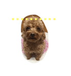 Puppy family -- Panda (1)（個別スタンプ：7）