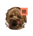 Puppy family -- Panda (1)（個別スタンプ：8）