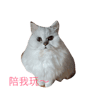 Lion Chen（個別スタンプ：2）