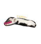 こゆきまる（個別スタンプ：2）