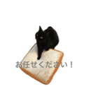 ヨルクロネコ2（個別スタンプ：3）